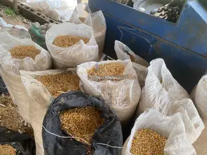 Dry Yellow Corn