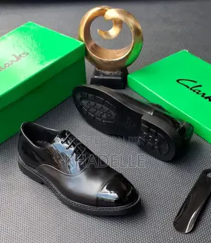 Clark Corporate Shoes
