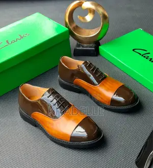 Clark Corporate Shoes