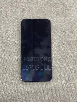 Apple iPhone 16 Pro Max 256 GB Silver