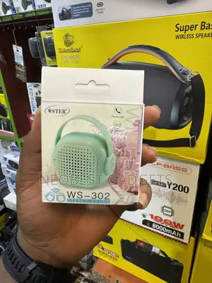 Wster Ws-302 Wireless Speaker
