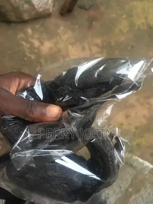 Dry Catfish