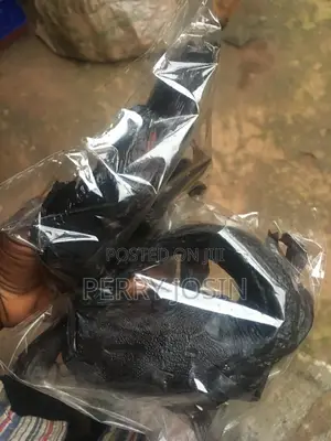 Dry Catfish