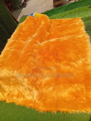 Beautiful Fluffy Center Rugs