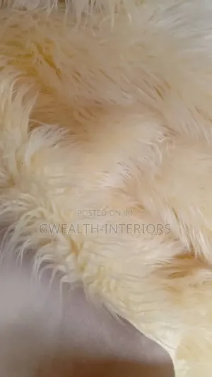 Beautiful Fluffy Center Rugs