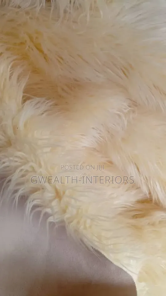 Beautiful Fluffy Center Rugs