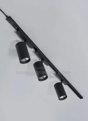 3 in 1 Track Light