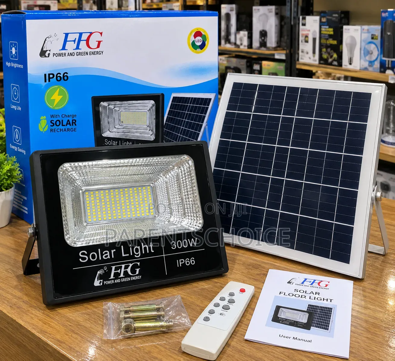 FFG 300W Solar Flood Light