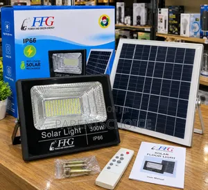 FFG 300W Solar Flood Light