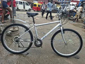Direct Belgium Bicycle