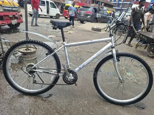 Direct Belgium Bicycle