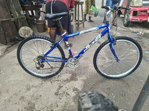 Direct Belgium Bicycle