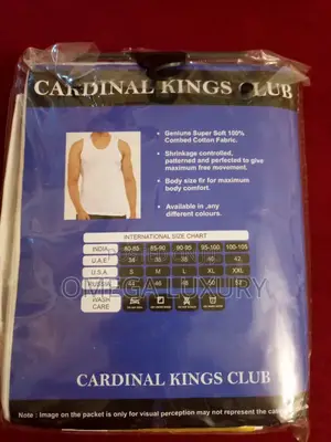 Male Luxury Singlet