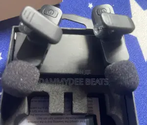 Wireless Microphone
