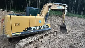Good Condition Cat 155