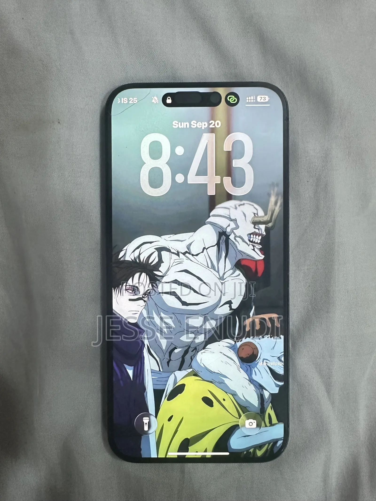 Apple iPhone 15 Pro Max 256 GB Gray