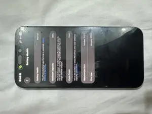 Apple iPhone 15 Pro Max 256 GB Gray