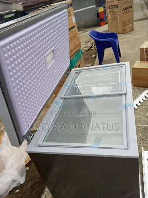 Snowsea Double Door Freezer