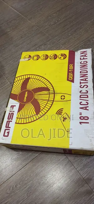 Standing Fan