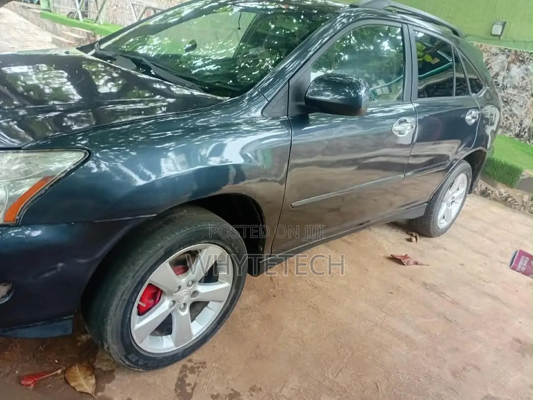 Lexus RX 330 2006 Blue