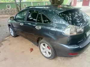 Lexus RX 330 2006 Blue