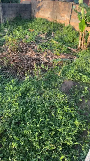 Half Plot of Land in Selewu/Oga Oloye