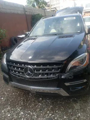 Mercedes-Benz M Class 2015 Black