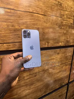 Apple iPhone 12 Pro Max 256 GB Purple