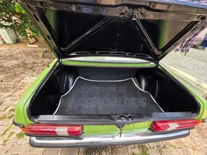 Mercedes-Benz C230 1979 Green