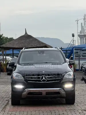 Mercedes-Benz M Class 2014 Black
