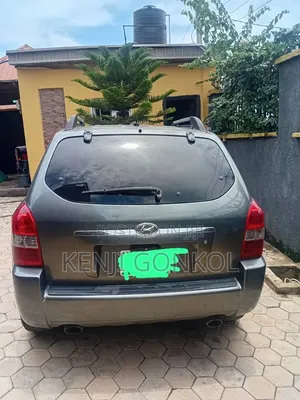 Hyundai Tucson 2008 Gray