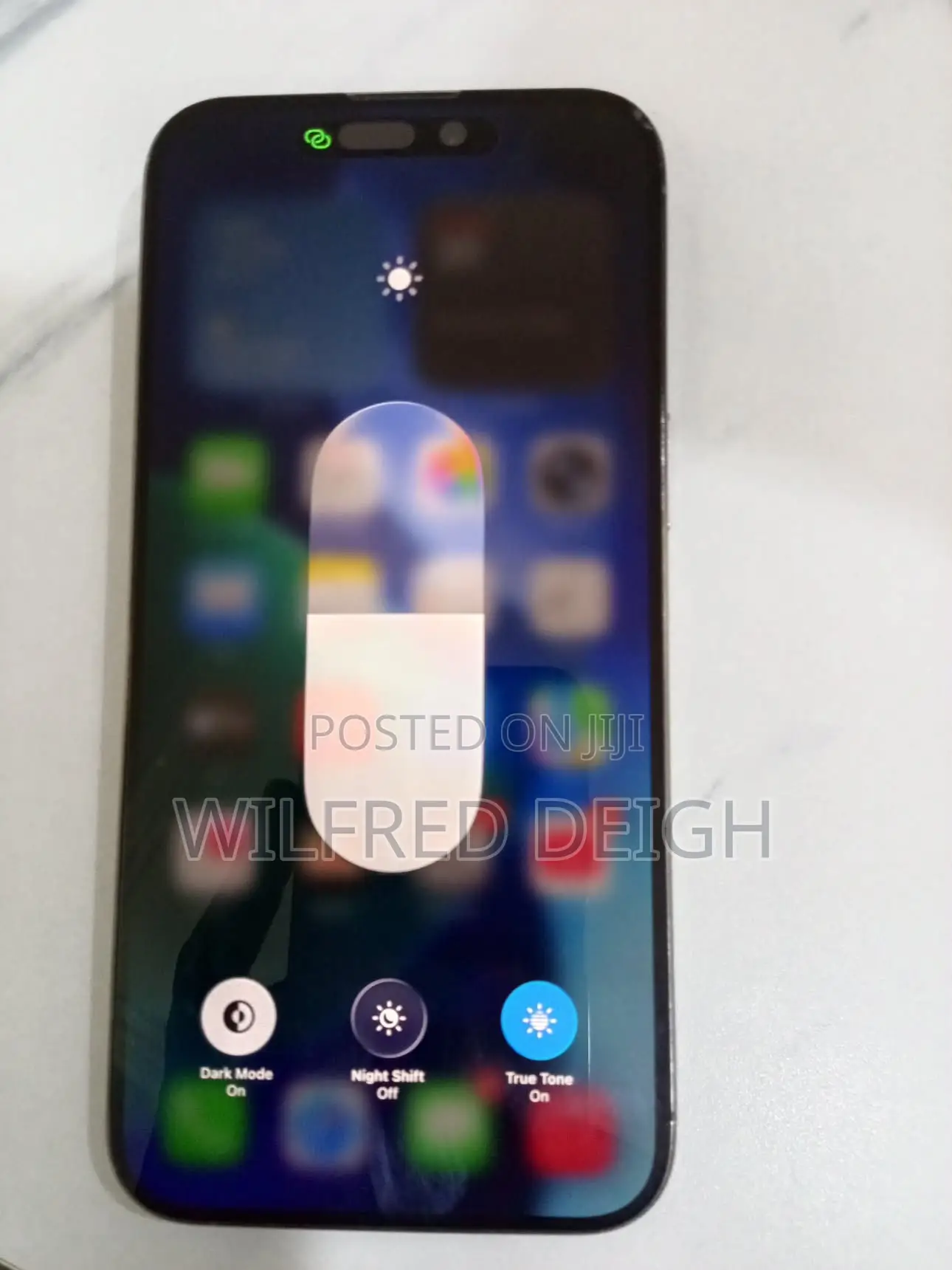 Apple iPhone 15 Pro Max 256 GB Silver