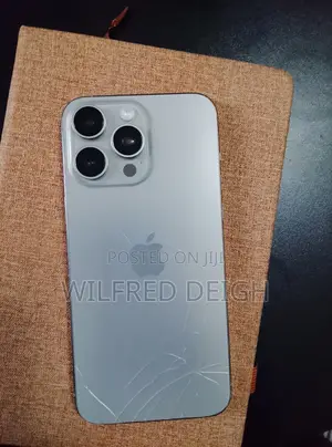 Apple iPhone 15 Pro Max 256 GB Silver