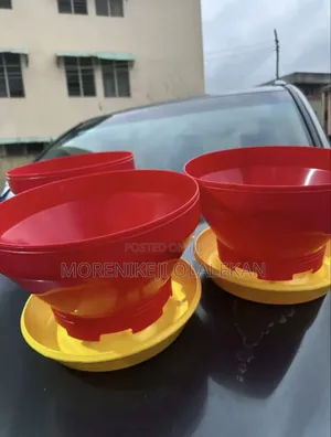 Chicks Feeder