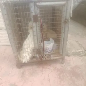 Dog Cage for Sale