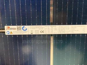 Ronma Bifacial Panel
