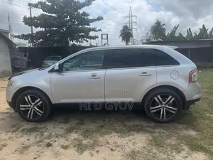 Ford Edge 2009 Silver