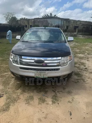 Ford Edge 2009 Silver