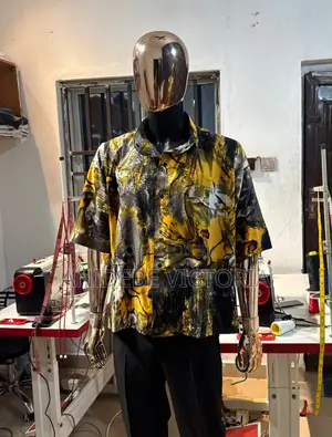 Fashion Designer