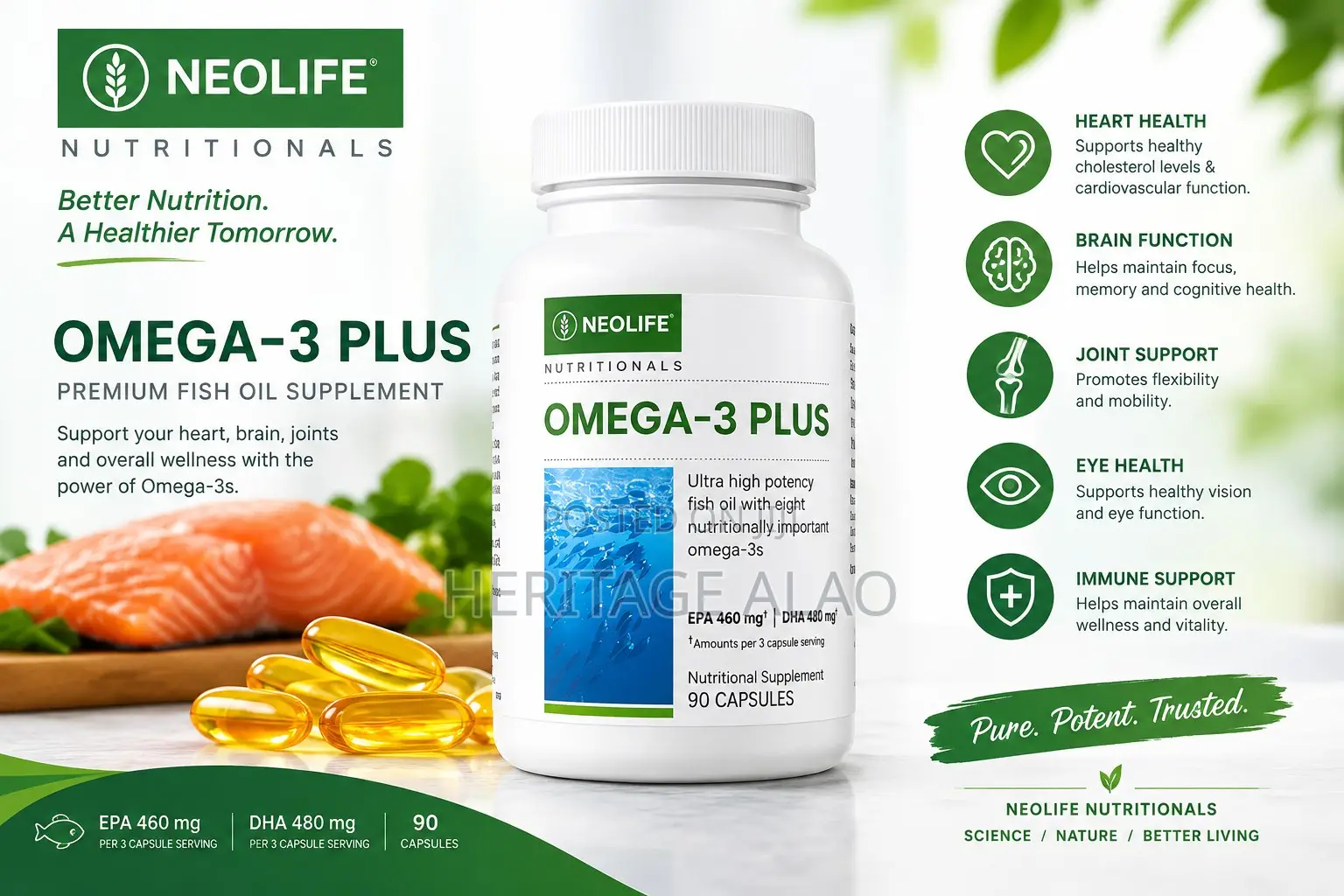 Omega-3 Plus - 90 Capsules