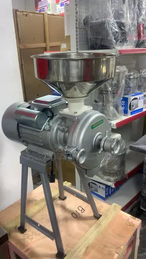 Wet and Dry Grinder