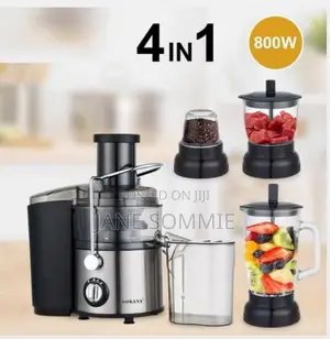 4-In1 Multifunctional Blender Juice