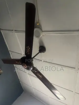 Long Ceiling Fan