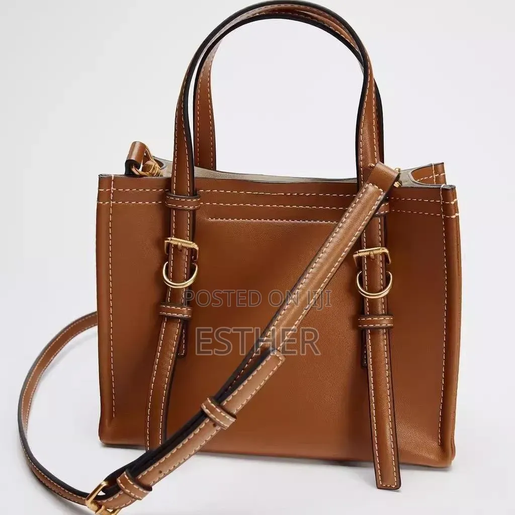 Luxury Zara Bag