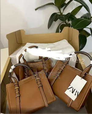 Luxury Zara Bag