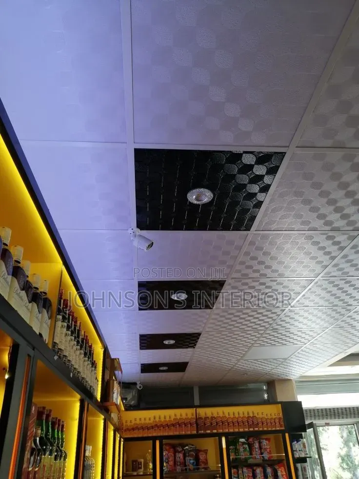 Suspended Ceiling