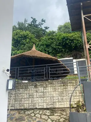 Furnished 2bdrm Block of Flats in Asokoro for rent