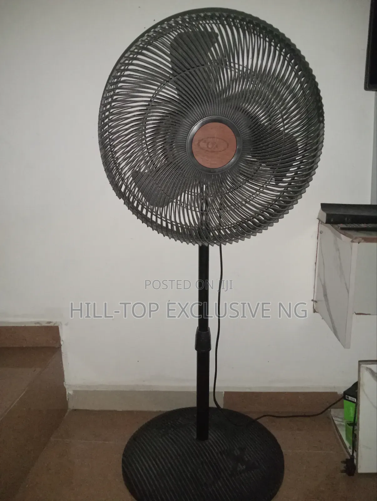 Standing Fan