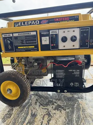 Elepaq 10kva Constant 100% Copper Coil Petrol Generator.