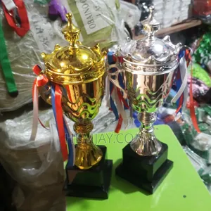 "2in1 Quality Trophies Combo" Silver and Gold Trophy for Winners 